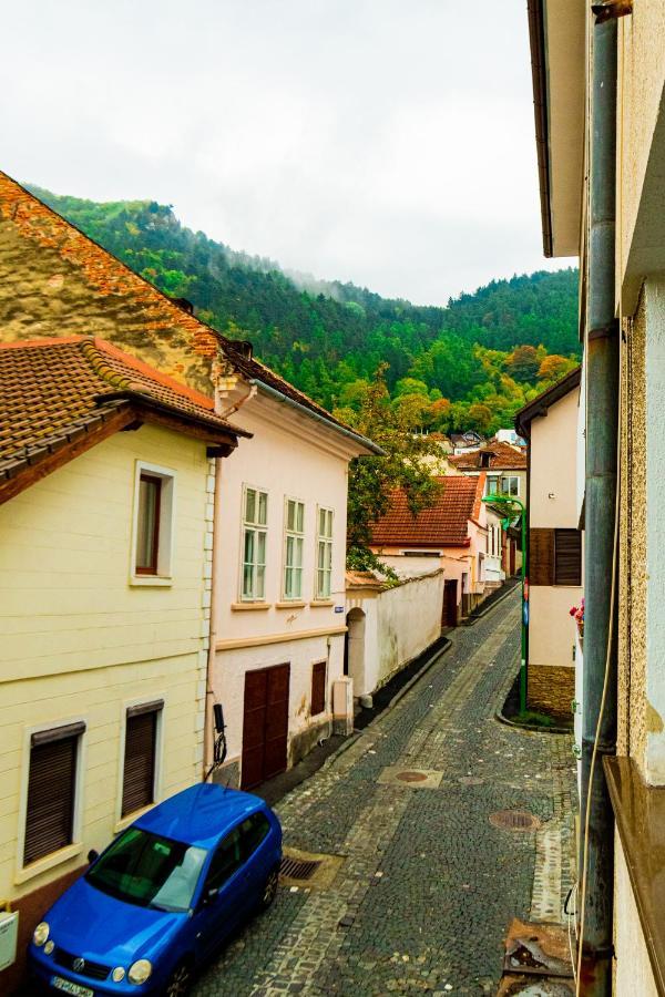 Ardor Apt - Bright And Secluded Apartment In The Heart Of Old Town Braşov Eksteriør bilde